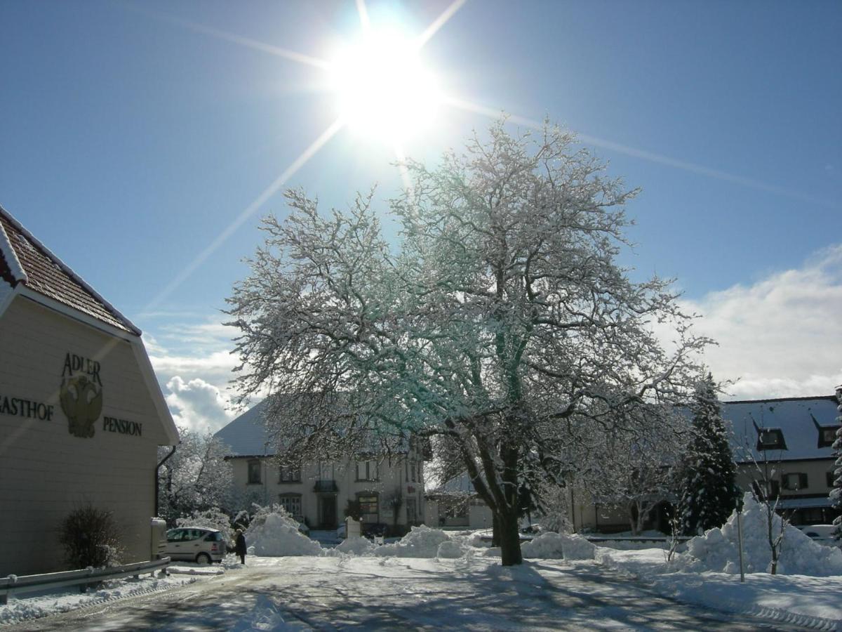 Pension Adler Bannholz Luaran gambar